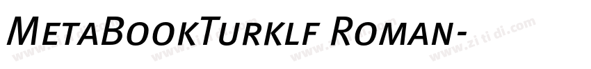 MetaBookTurklf Roman字体转换